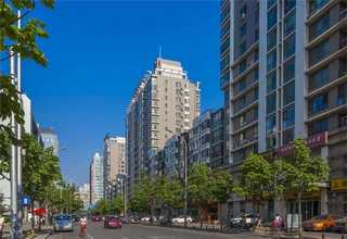 新吴区办公室盆景租赁