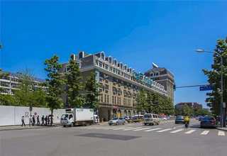 静安观赏树木修剪企业